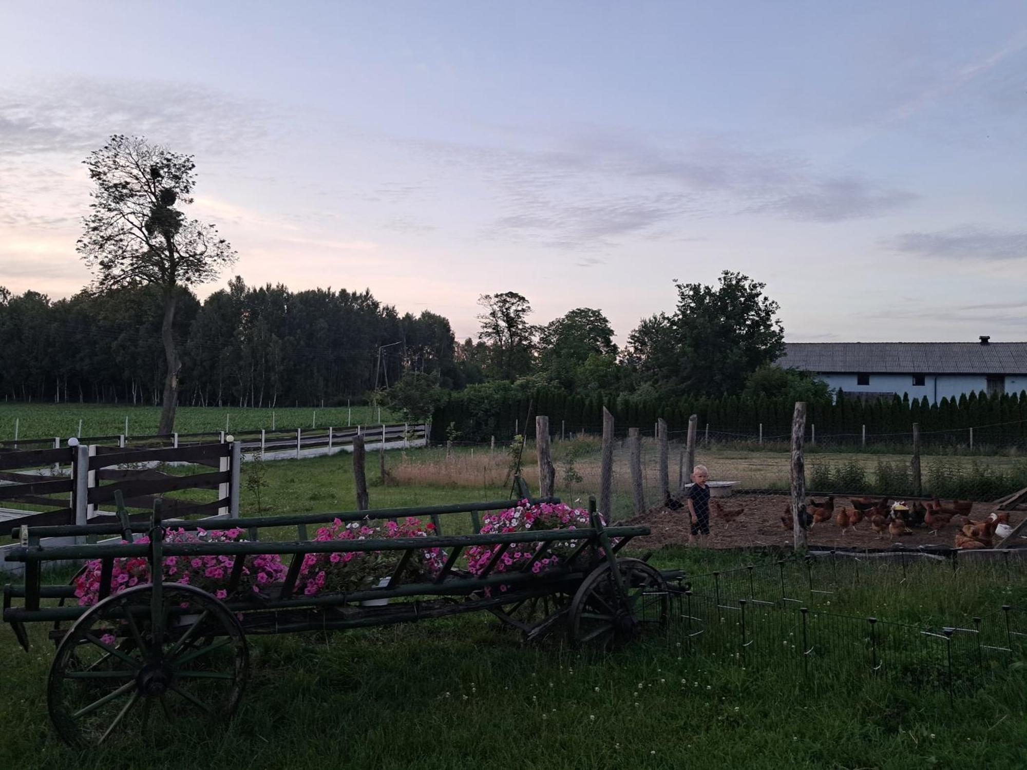 Agroturystyka Malary Pogodki Exteriér fotografie